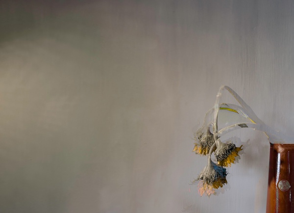 Valda Bailey, Sundown, 2016