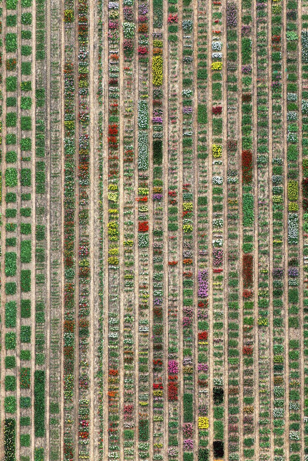 Tommy Clarke, Sections, Netherlands, 2018