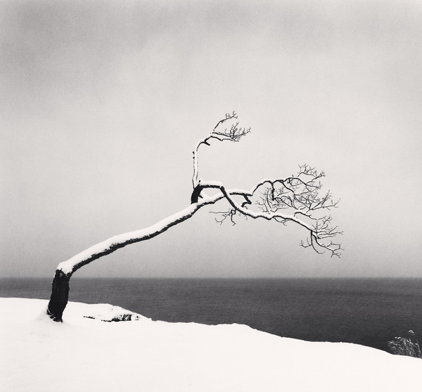 Michael Kenna, Kussharo Lake Tree, Study 3, Kotan, Hokkaido, Japan, 2005