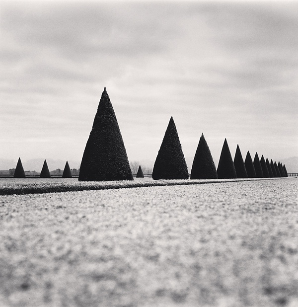 Michael Kenna, Eighteen Hedges, Versailles, France, 1998