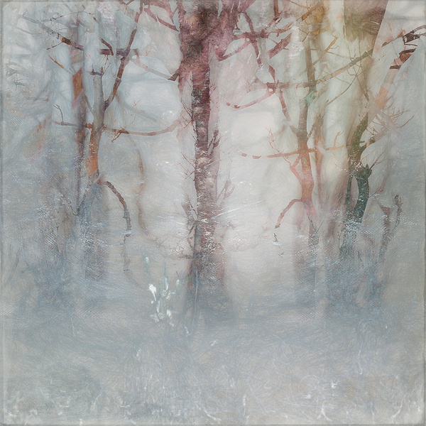 winter-threads-2020-by-valda-bailey-limited-edition-print-for-sale-at-bosham-gallery