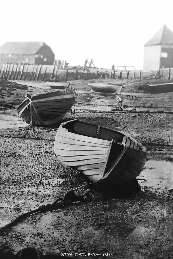 Bosham Gallery Archive, Oyster Boats, Bosham, Sussex, England 1890