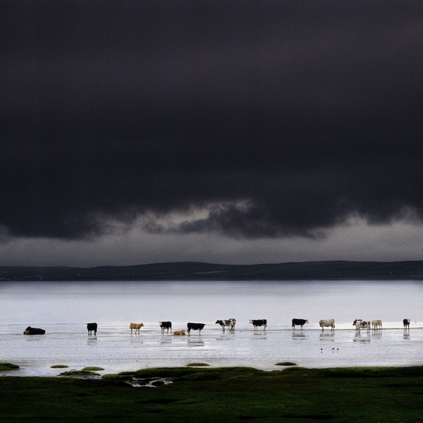 loch-indaal-scotland-1994-by-charlie-waite-limited-edition-pigment-print-for-sale-at-bosham-gallery