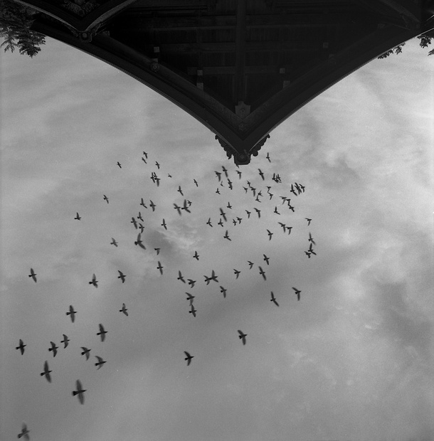 Michael Kenna's Darkroom Diaries | Chapter 3, Grain, Cropping & Toning