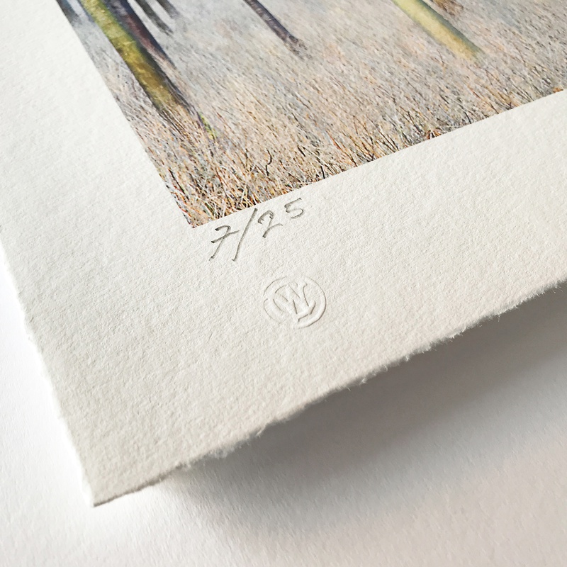 Printing Photographs To Sell, 4 HOURS ONE-TO-ONE WITH LUKE WHITAKER