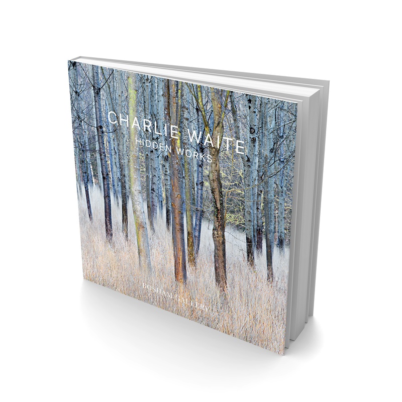 Curate The Images For My Exhibition Or Book, Help Available By Request For Pro Photographers