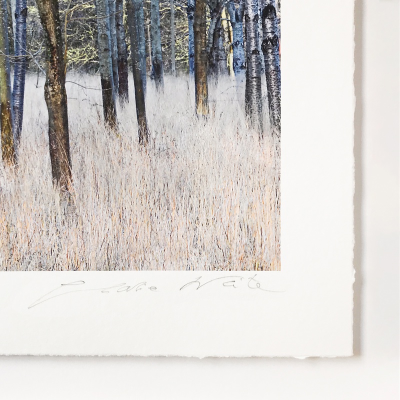 Sales Strategy For Pro Photographers, How To Sell In Today's Market | 4 Hours One-To-One With Luke Whitaker