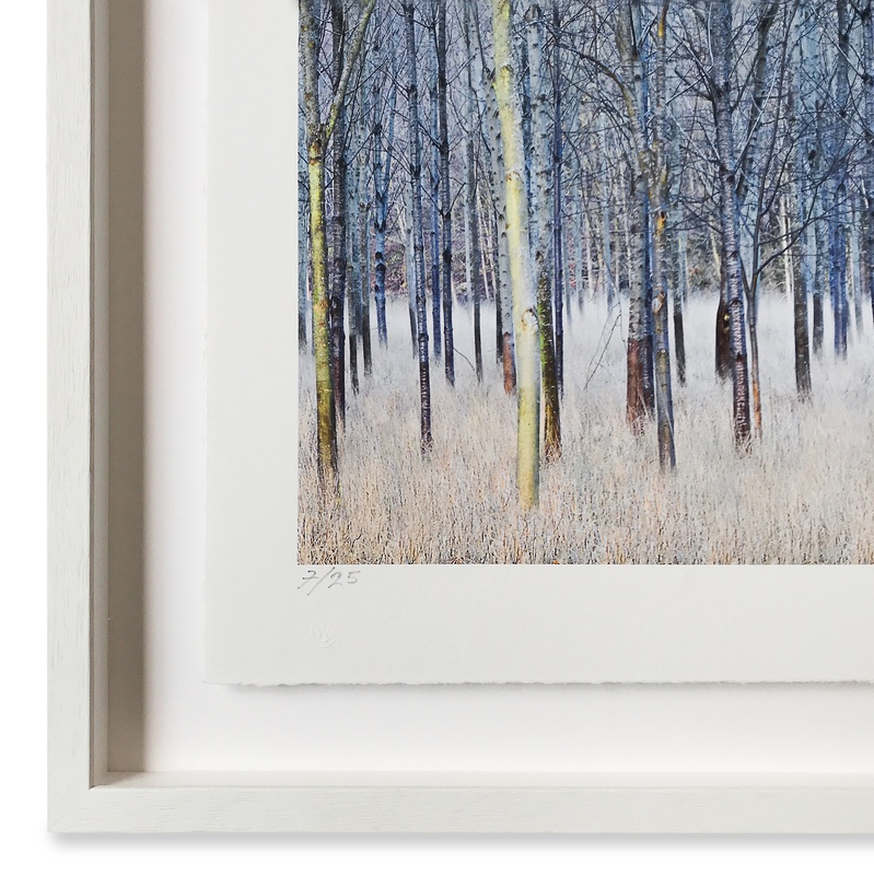 Framing Photographs To Sell, 4 HOURS ONE-TO-ONE WITH LUKE WHITAKER